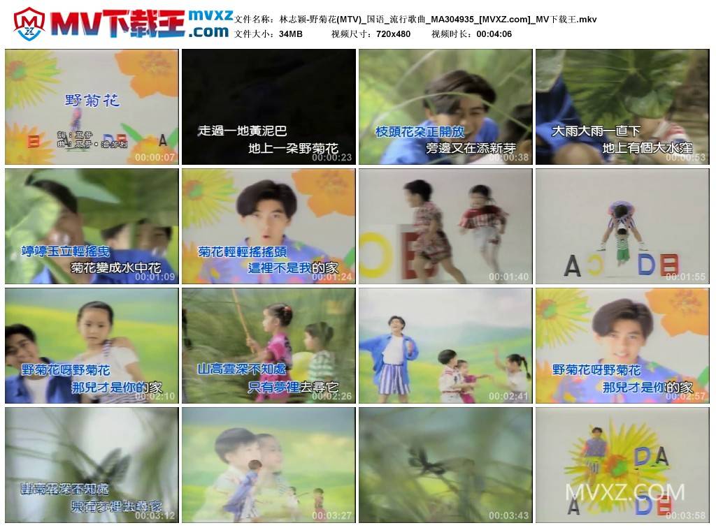 林志颖-野菊花(MTV)_国语_流行歌曲_MA304935